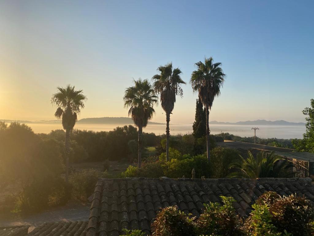 Séjour à la ferme Sa Cova Vella Manacor (Mallorca)